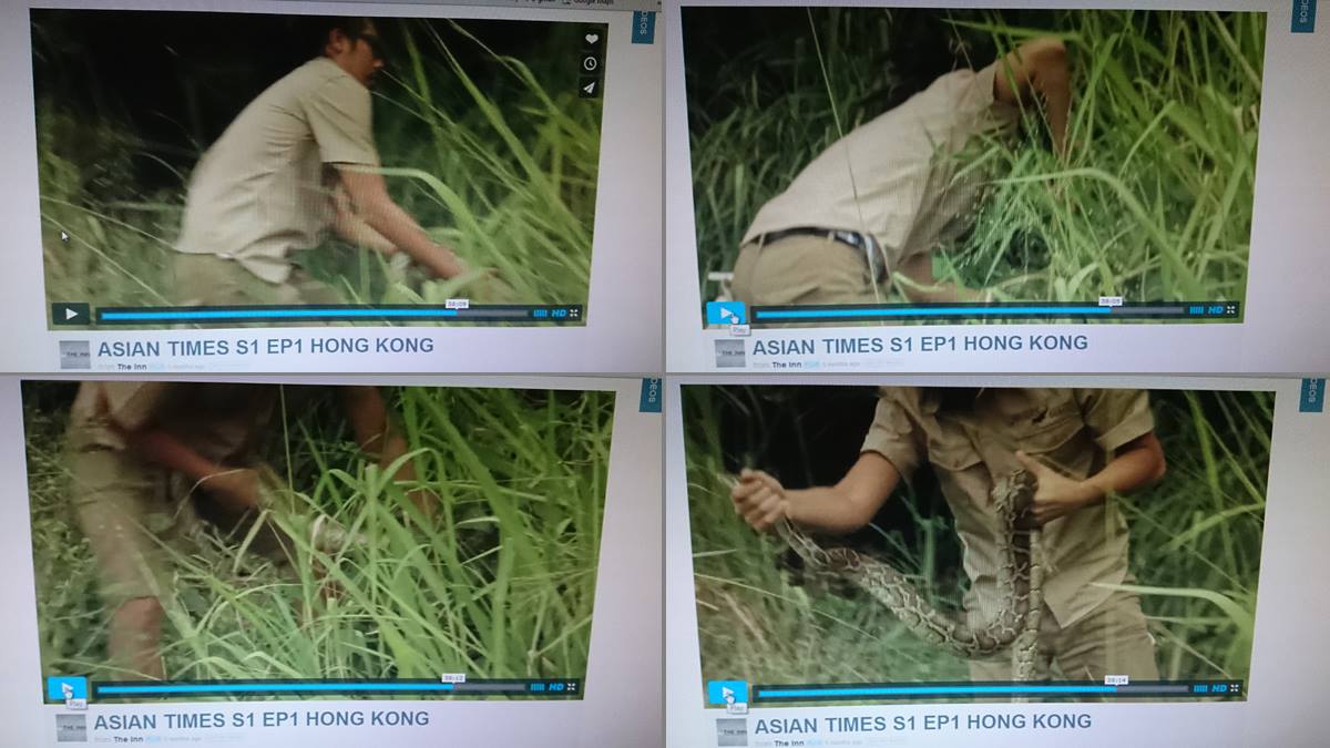 Goatee Toni catches wild snakes for UK TV channel