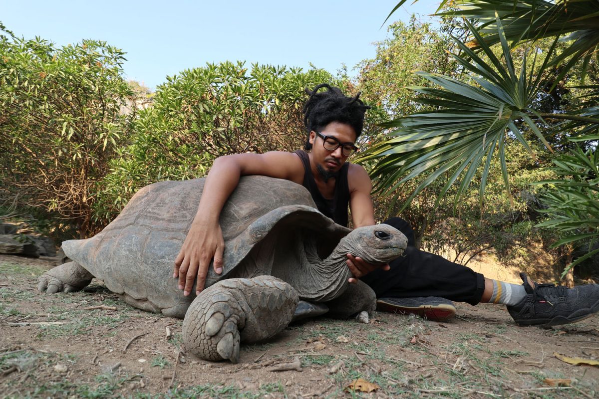 My Oldest New Friend The Aldabra Giant Tortoise